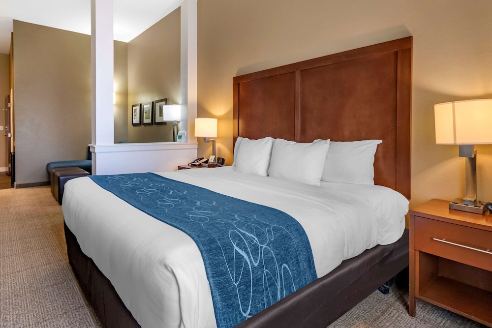 Suite, 1 King Bed with Sofa bed, Accessible, Non Smoking