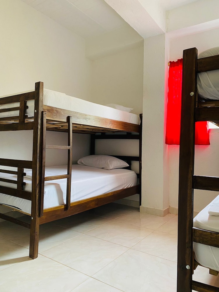 Basic Shared Dormitory photo 3