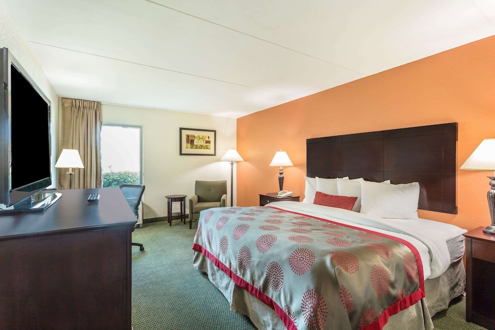 Room, 1 King Bed, Non Smoking - Photo 1