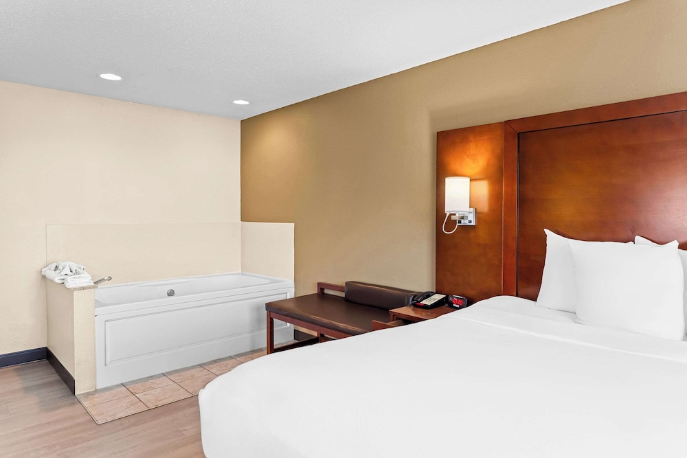 Suite - Photo 4