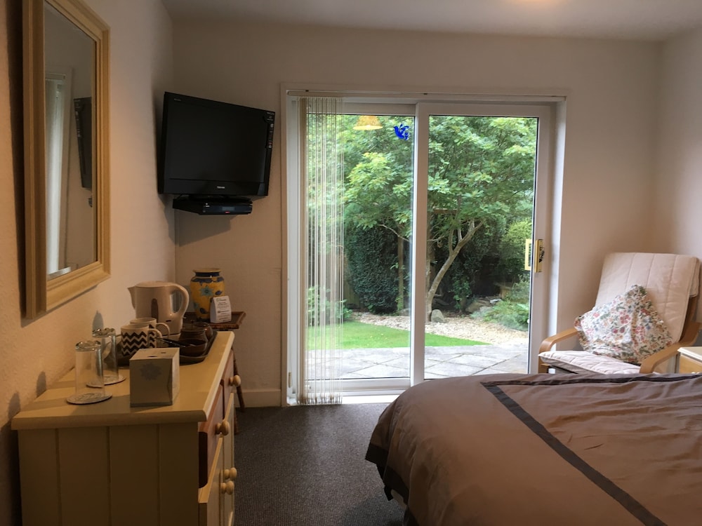 Panoramic Double Room, 1 King Bed, Mountain View photo 3
