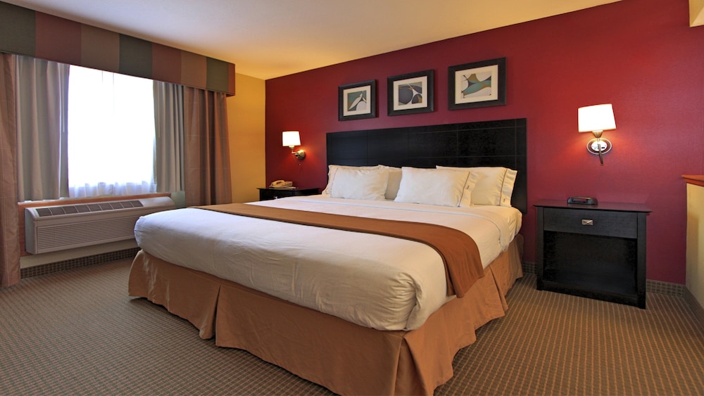 Standard Room, 1 King Bed, Accessible (Communications, Mobility, Access Tub) photo 1