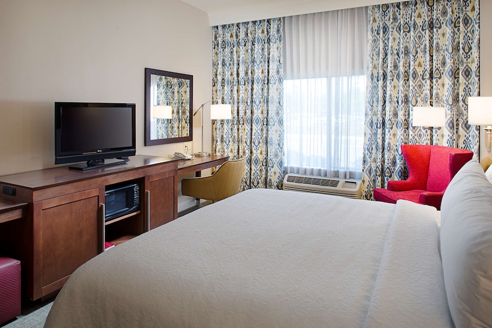 Room, 1 King Bed, Accessible, Non Smoking - Photo 4