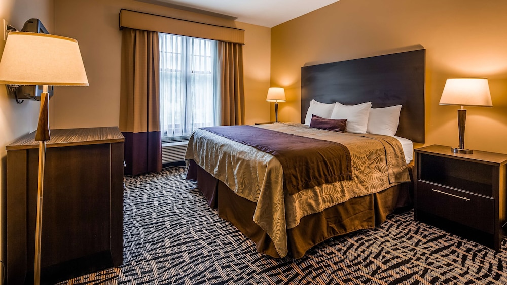 Standard Room, 1 King Bed, Accessible, Bathtub - Photo 4