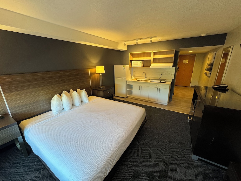 Standard Studio, 1 King Bed, Non Smoking, Refrigerator & Microwave