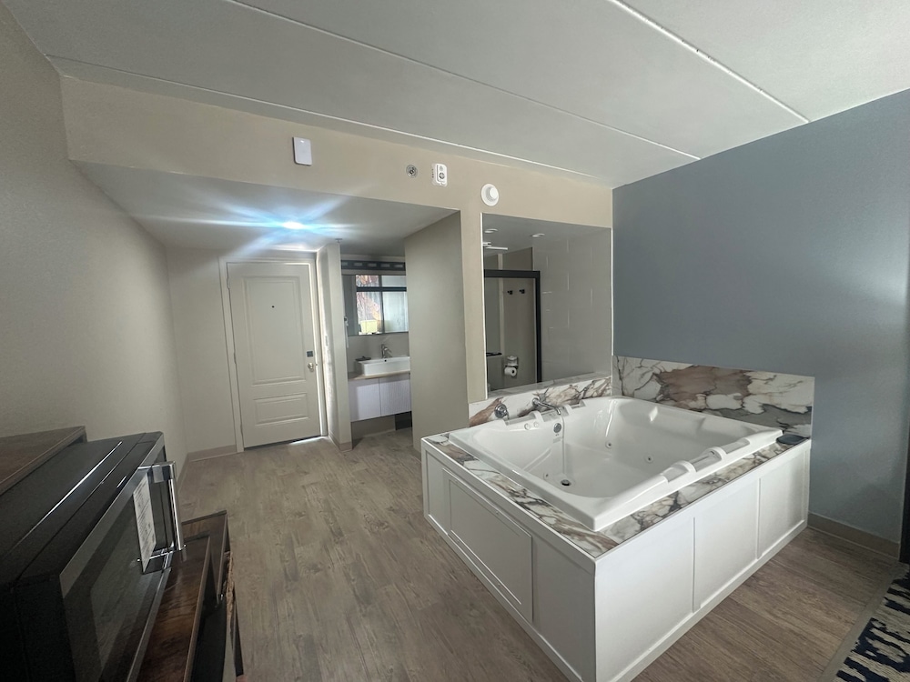 Deluxe Room photo 2