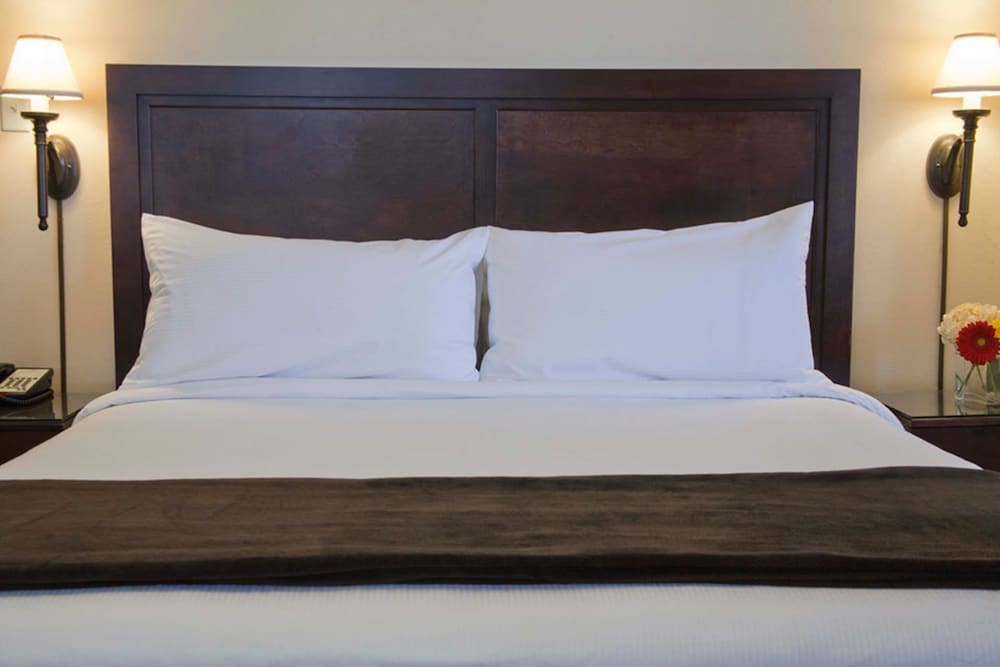 Executive Room, 1 Queen Bed - Photo 1