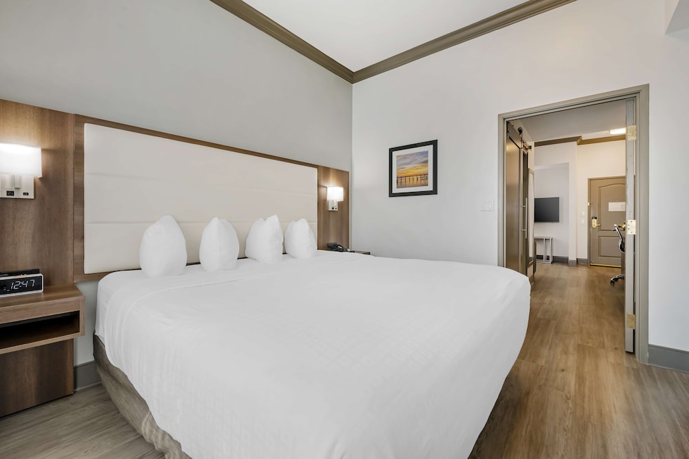 Executive Suite, 1 King Bed, Non Smoking, Refrigerator & Microwave - Photo 4