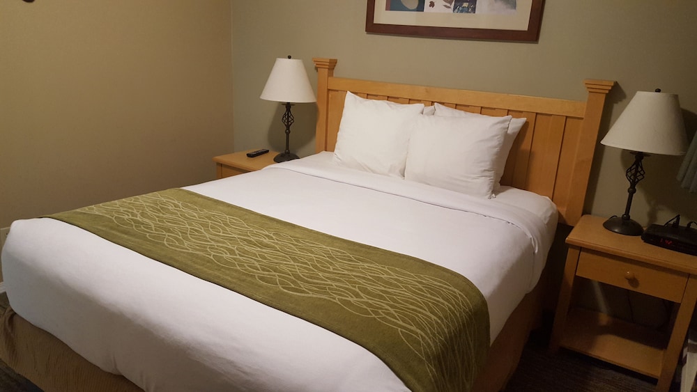 Room, 1 Queen Bed, Non Smoking (Small) - Photo 3