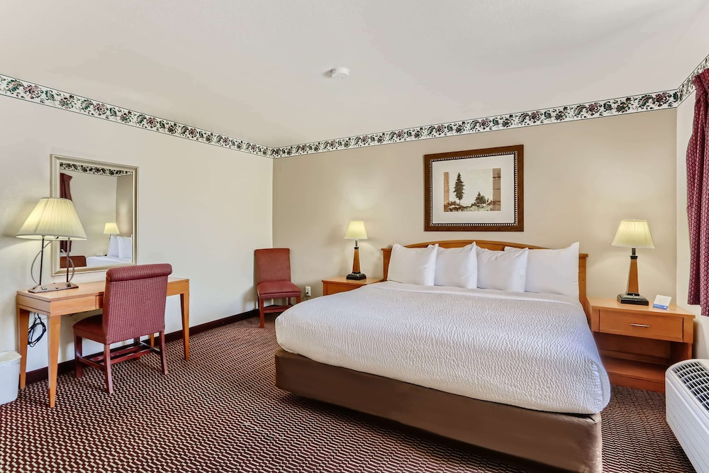 Suite, 1 King Bed, Non Smoking photo 1