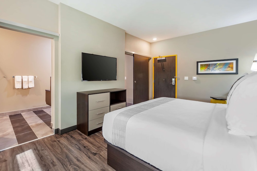 Standard Room, 1 King Bed, Accessible, Refrigerator - Photo 3