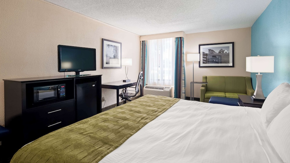 Standard Room, 1 King Bed, Non Smoking, Refrigerator & Microwave (with Single Sofabed) - Photo 2