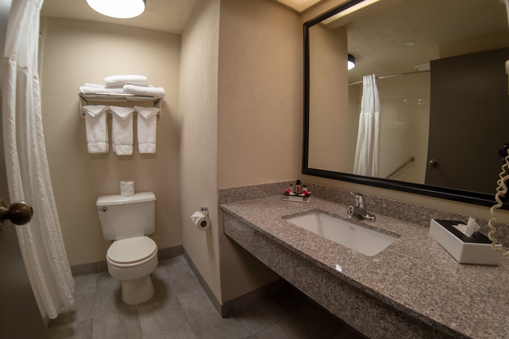 Room, 1 Queen Bed, Accessible, Non Smoking (Pet Friendly) - Photo 5