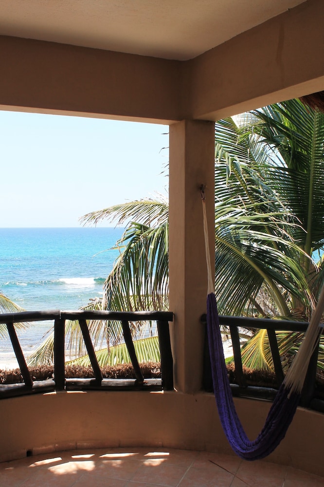 King Ocean View - Photo 3