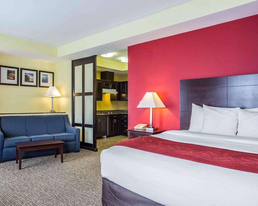 Suite, 1 King Bed with Sofa bed, Accessible, Non Smoking (Efficiency) - Photo 1