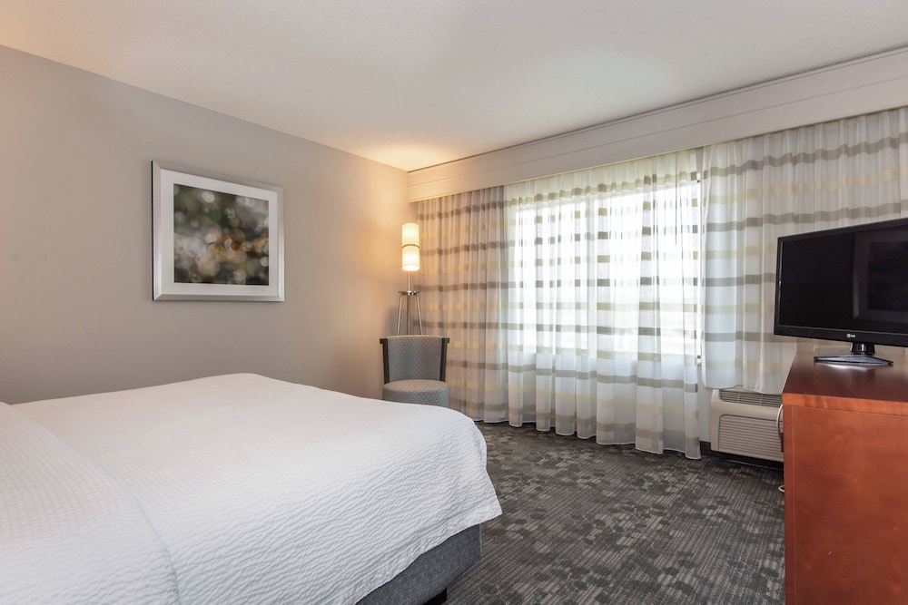 Suite, 1 King Bed with Sofa bed