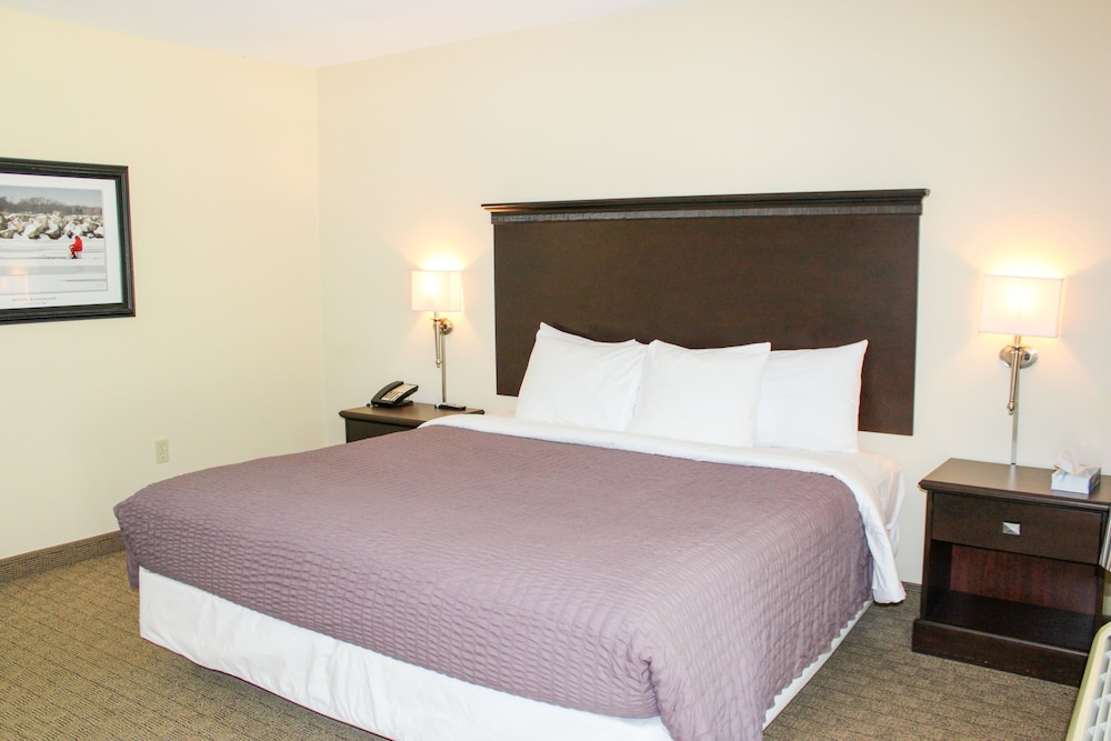 Standard Suite, 1 King Bed with Sofa bed - Photo 14