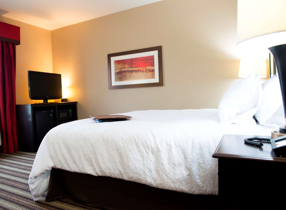 Room, 1 King Bed, Accessible photo 3