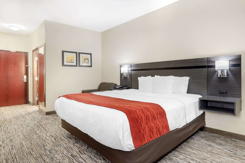 Standard Single Room, 1 King Bed, Non Smoking - Photo 2