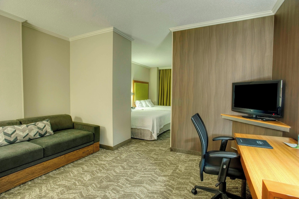 Suite, 1 King Bed - Photo 1