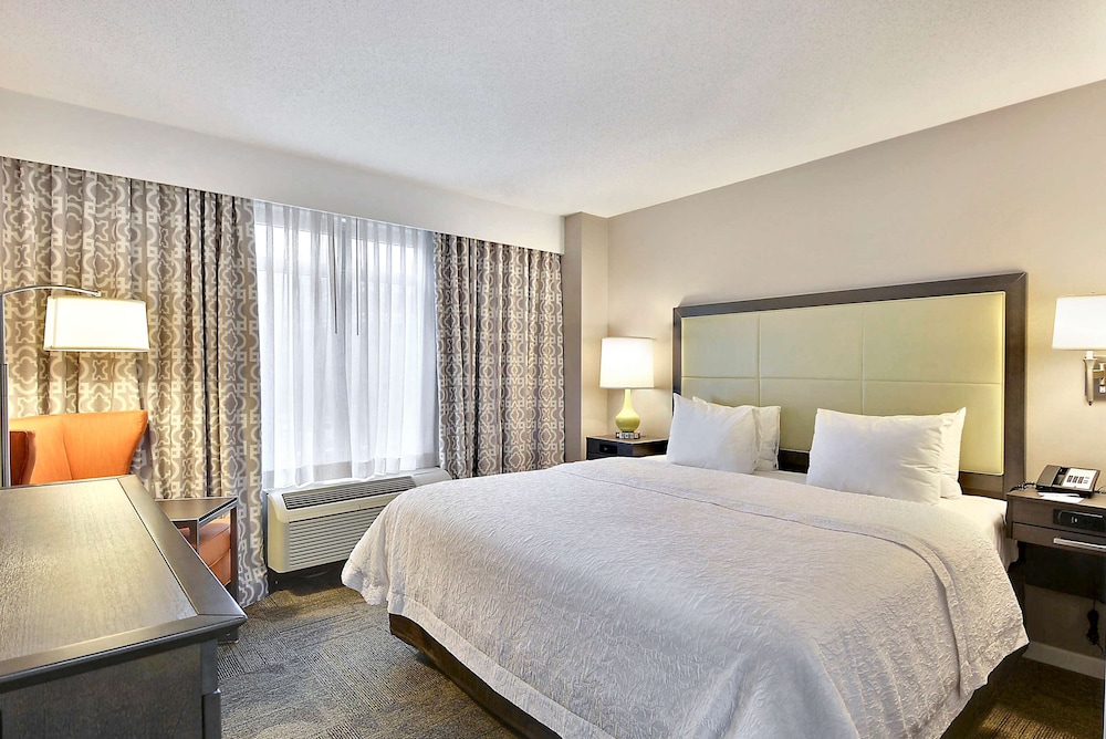 Suite, 1 King Bed, Non Smoking photo 2