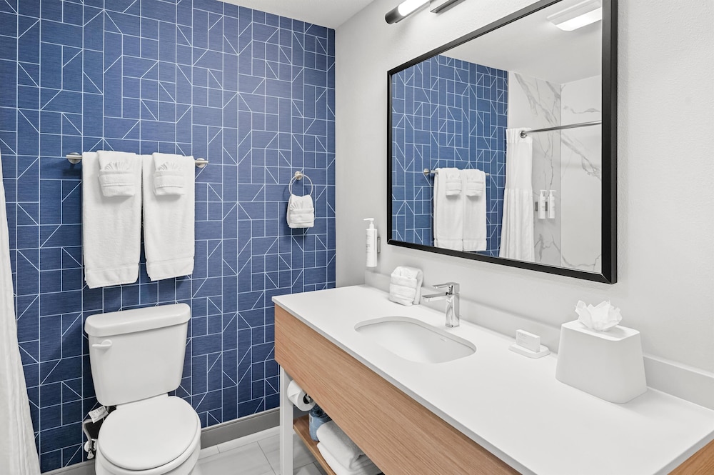 Suite, 1 King Bed, Accessible, Bathtub (Mobility, Hearing) - Photo 5