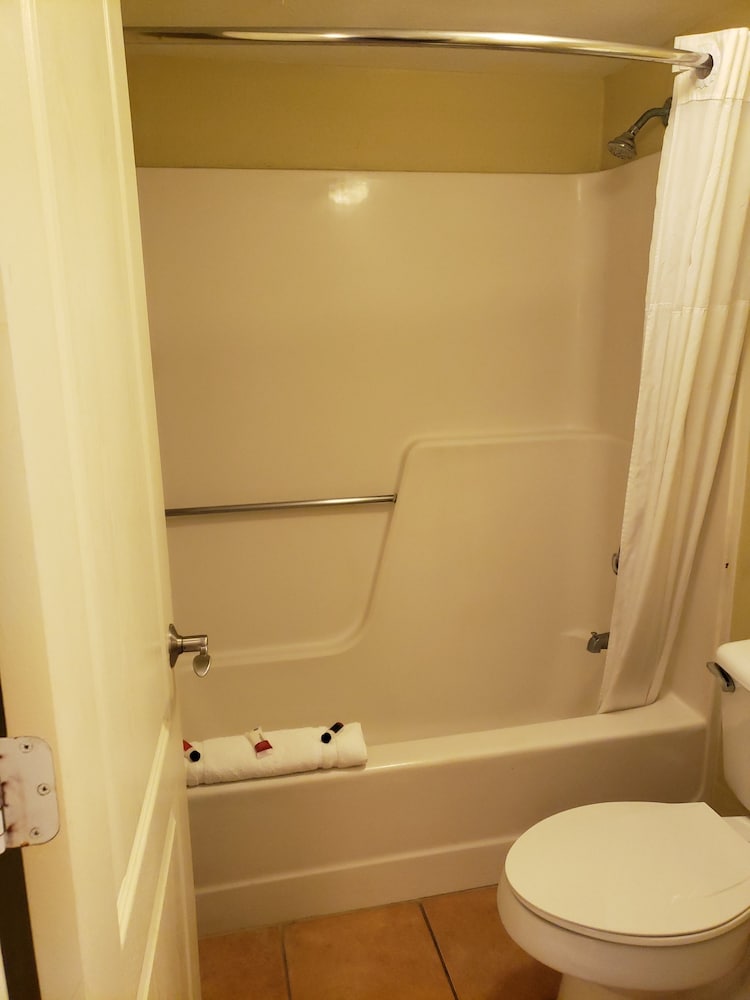 Room, 1 King Bed with Sofa bed, Non Smoking
