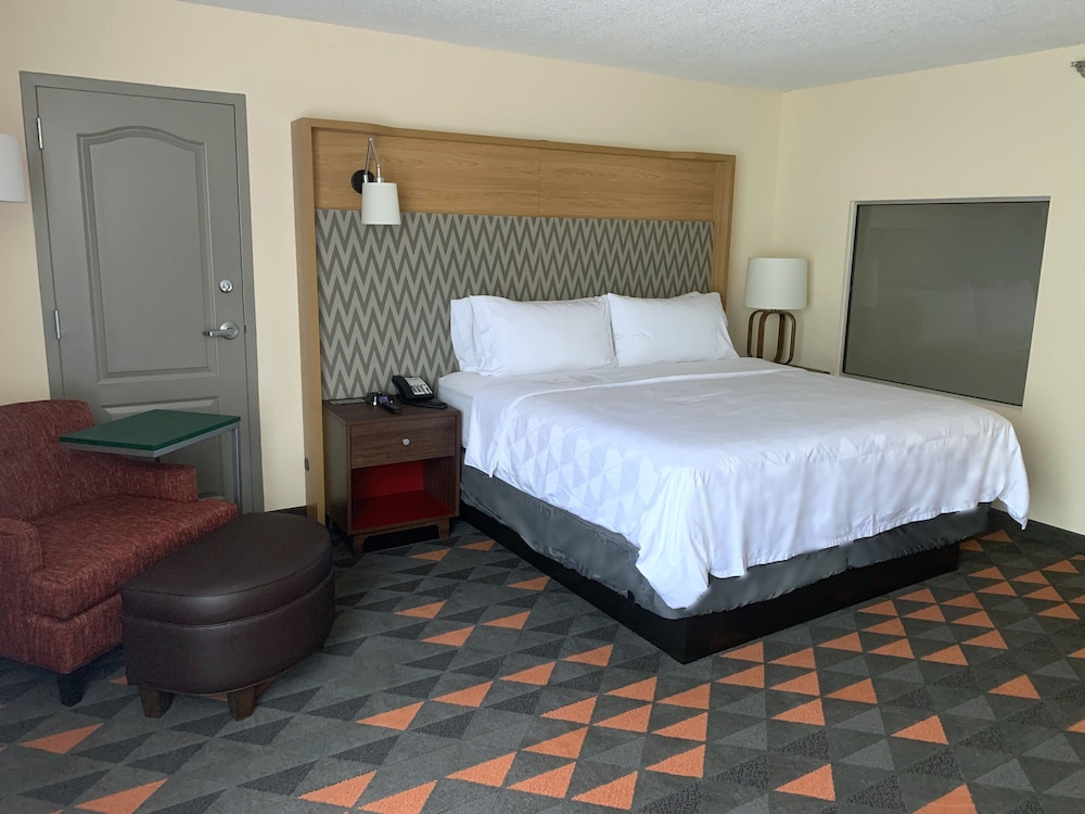 Suite, 1 King Bed - Photo 3