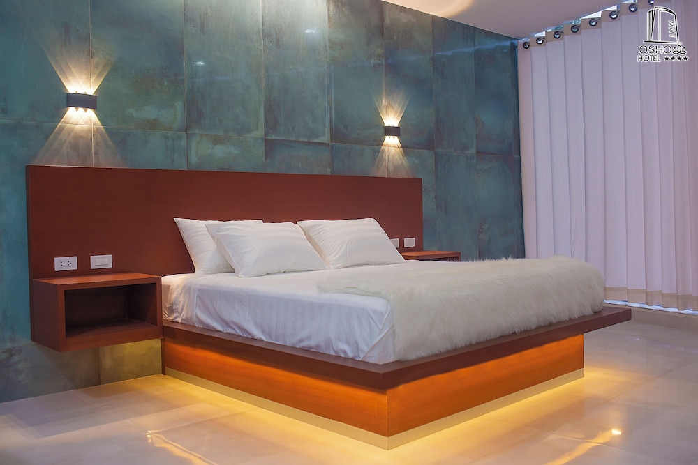 Junior Room, 1 King Bed photo 2