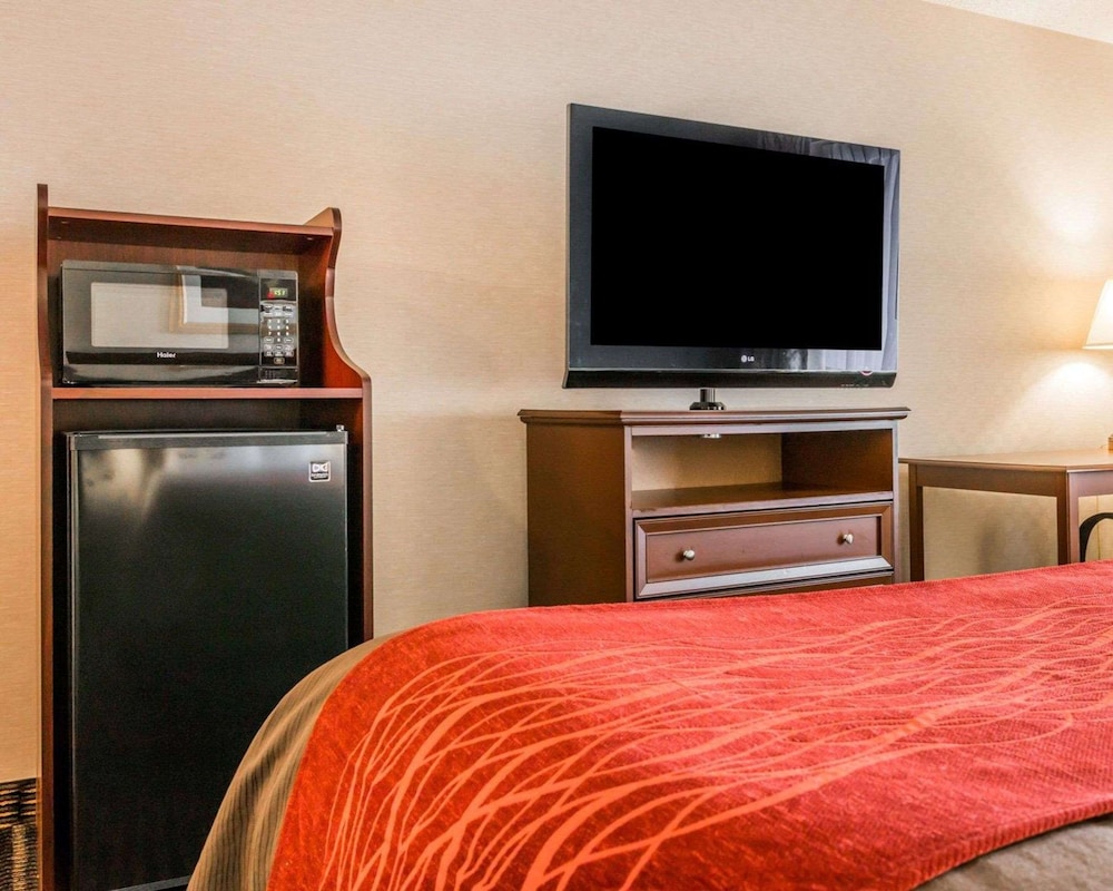 Room, 1 Queen Bed, Accessible, Non Smoking photo 3