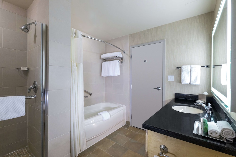 Suite, 1 Bedroom - Photo 6