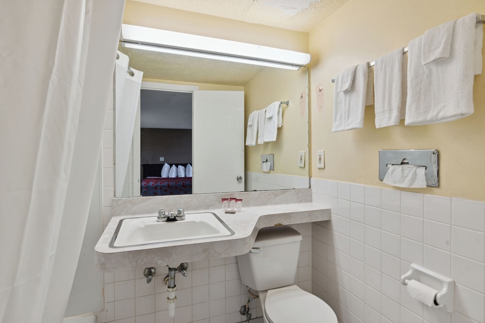 Basic Single Room, 1 King Bed photo 2