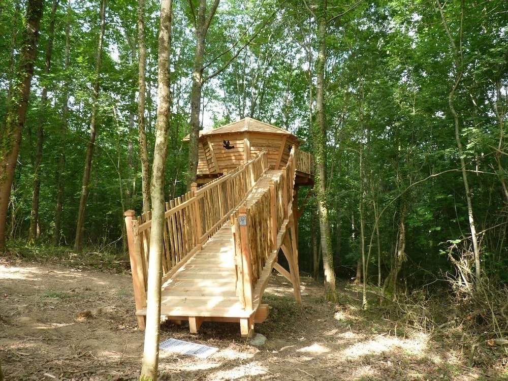 Cabin (Diane) photo 3