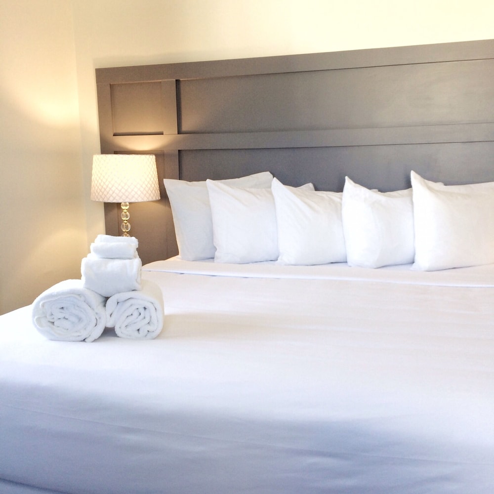 Room, 1 Queen Bed photo 1