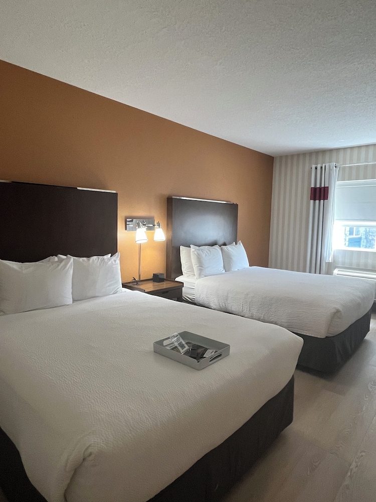 Premium Room, 2 Queen Beds, Pets Allowed
