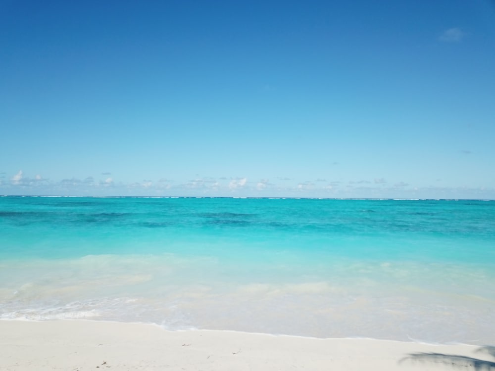 Beachfront King photo 2