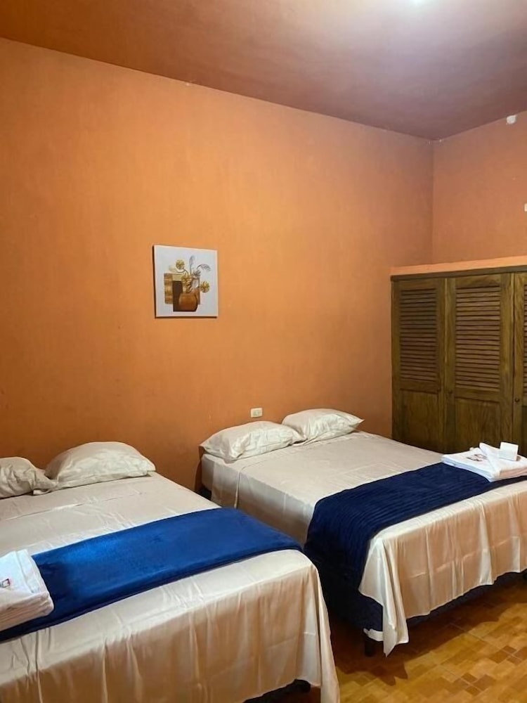 Basic Double Room, 2 Twin Beds, Accessible Bathtub, Garden View photo 2