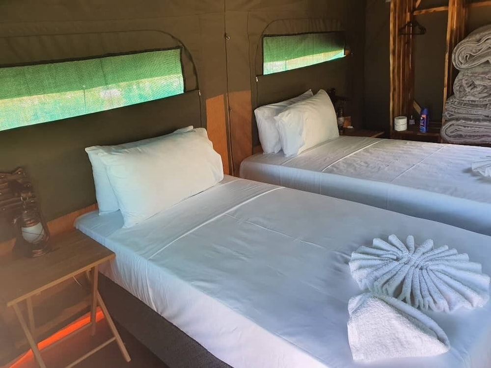 Economy Tent, Garden View