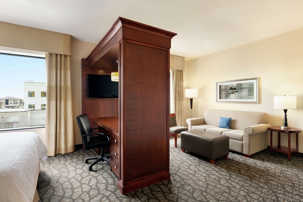 Suite, 1 King Bed, Accessible, Non Smoking (Roll-in Shower) photo 3