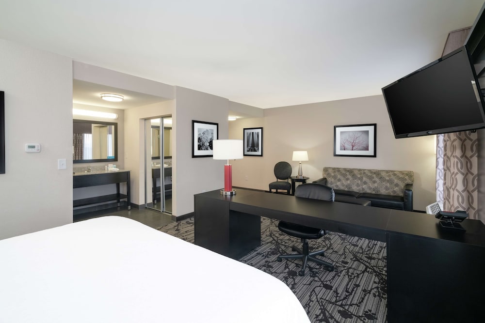 King, Studio Suite