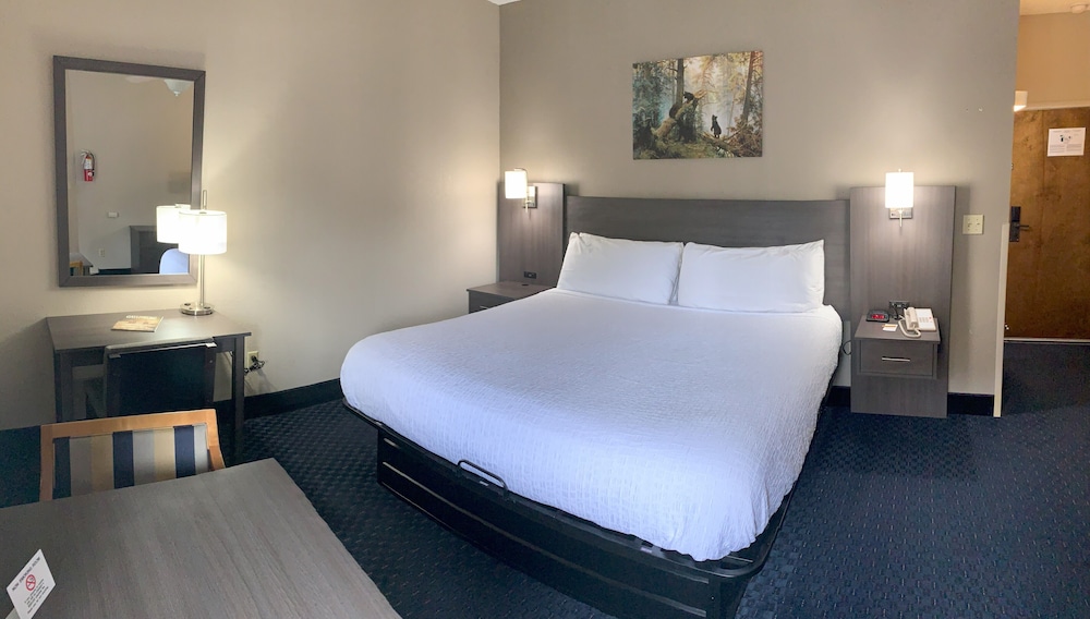 King Bed Deluxe - No Pets - Photo 5
