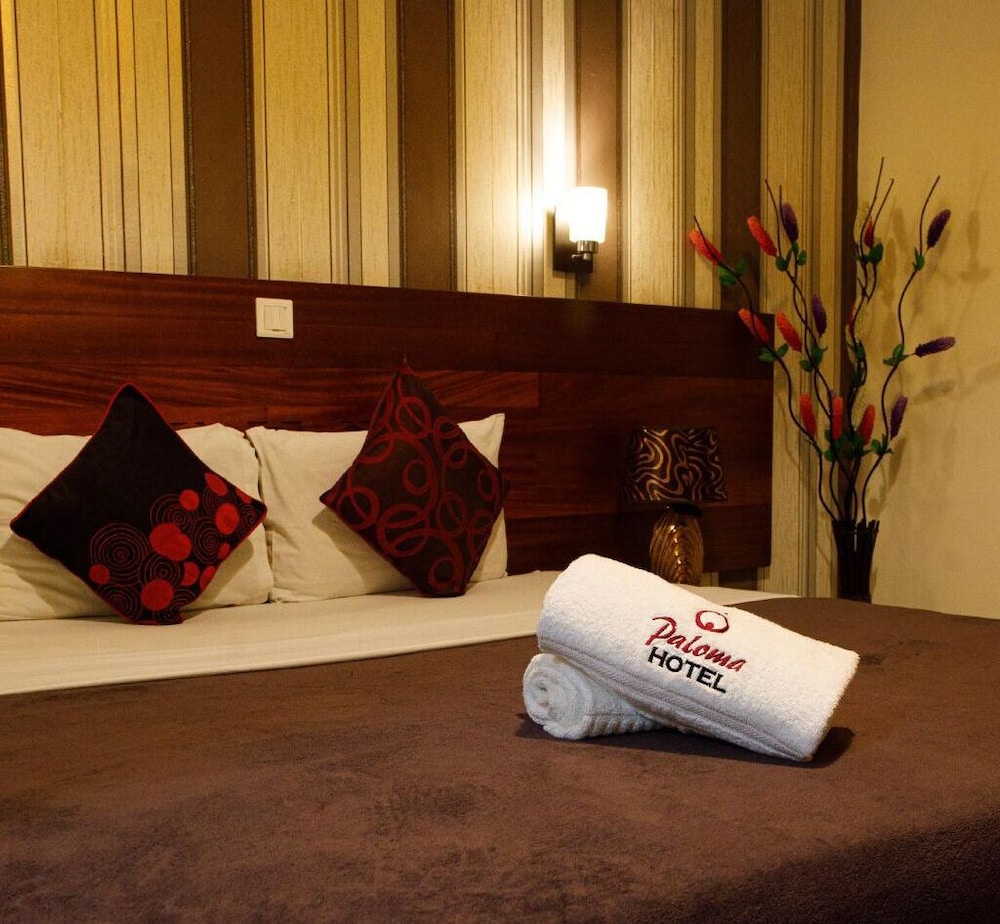 Single Room photo 1