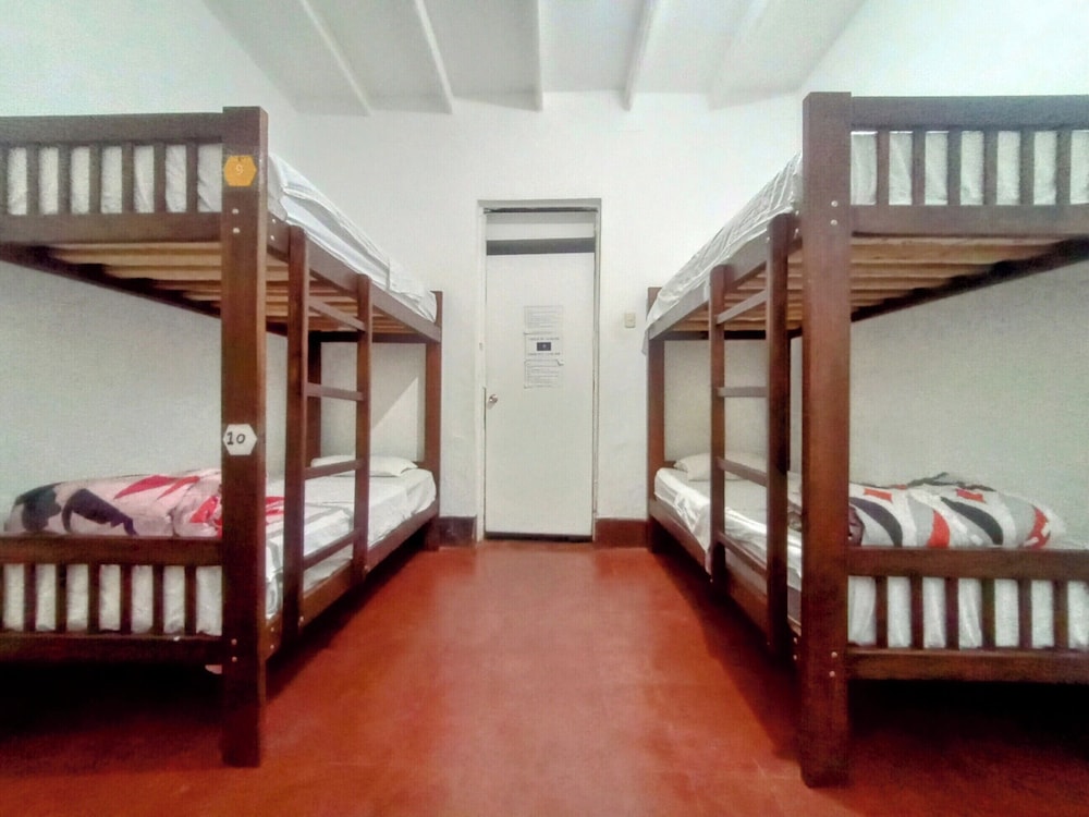 Basic Shared Dormitory photo 2