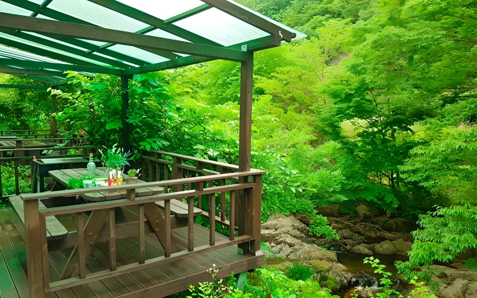 Room (Wind in the Forest WITH WIND) photo 1