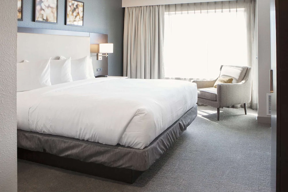 Deluxe Suite, 1 King Bed with Sofa bed, Accessible (Mobility & Hearing, Roll-in Shower) photo 2