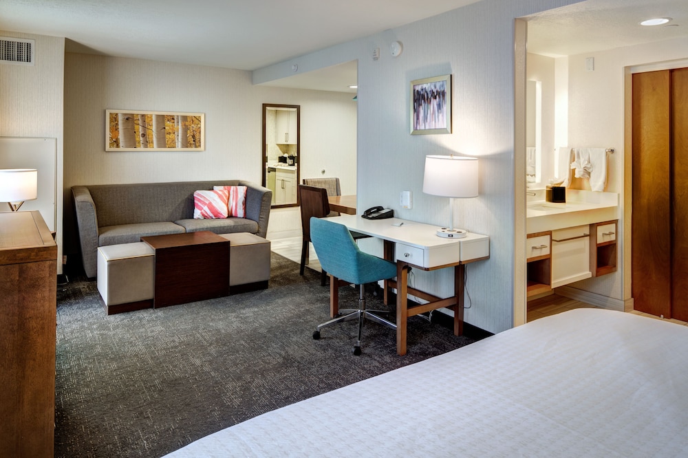 Studio Suite, 1 King Bed, Non Smoking photo 3