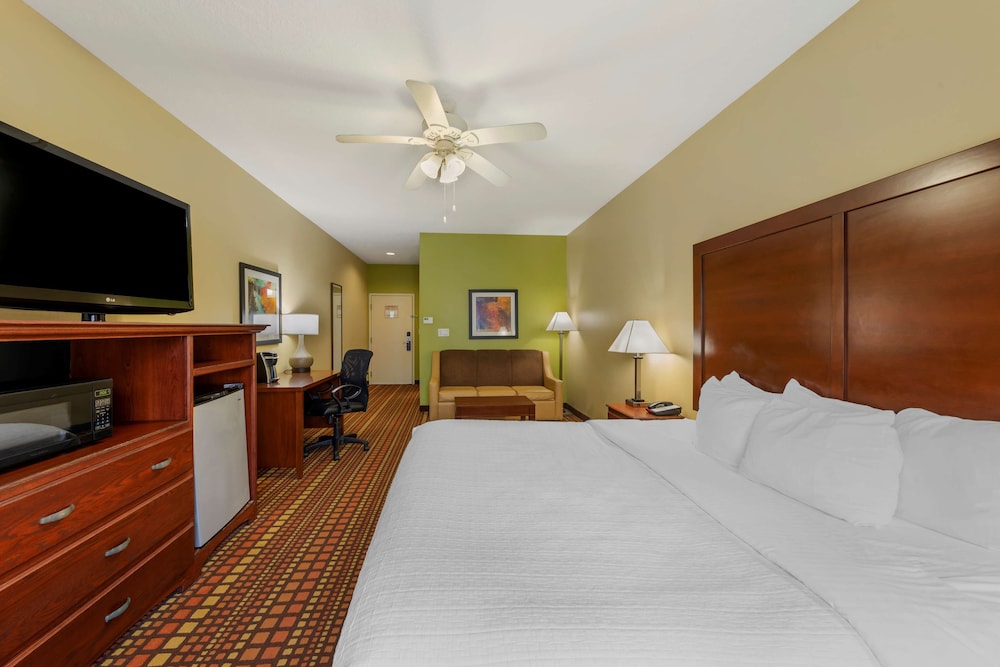 Executive Room, 1 King Bed, Non Smoking, Refrigerator & Microwave (with Sofabed) - Photo 4