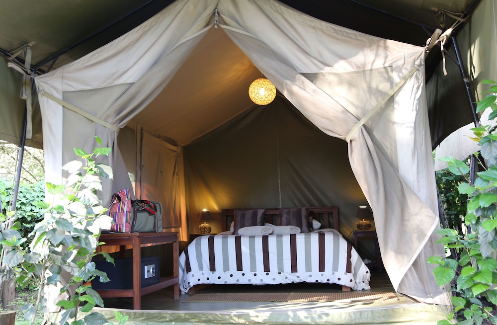 Tent, Garden View photo 2