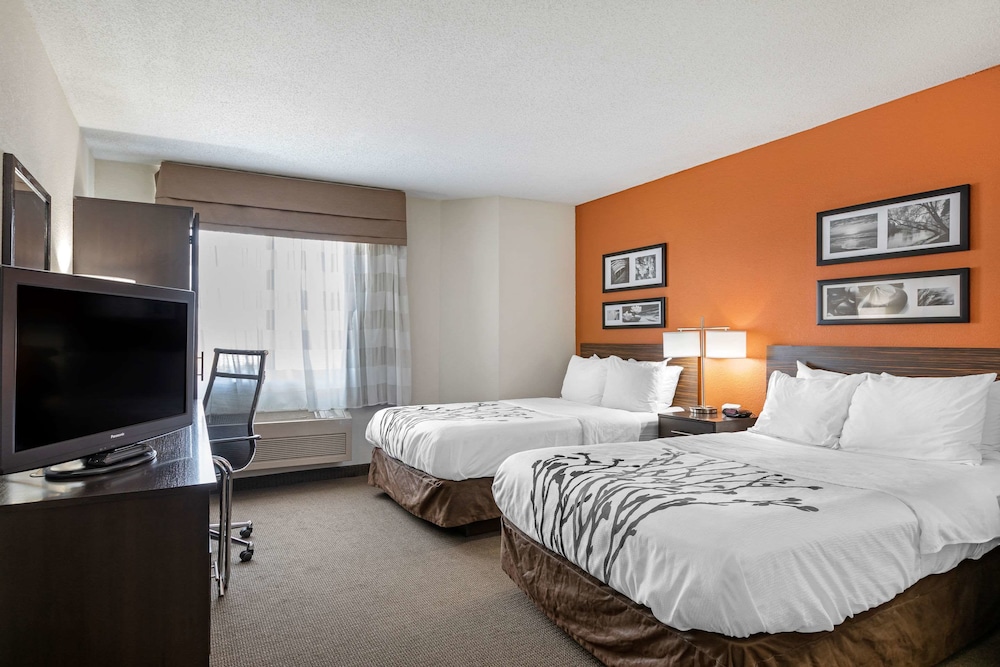 Standard Room, 2 Double Beds, Non Smoking, Refrigerator & Microwave - Photo 3