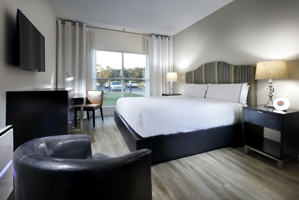The Level Wellness One Bedroom Suite - Photo 4